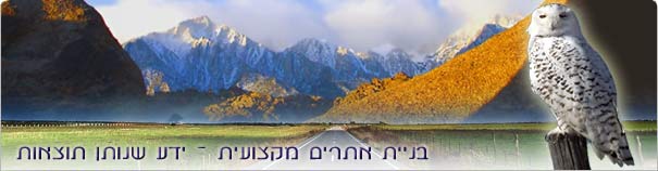 מדריך בניית אתרים